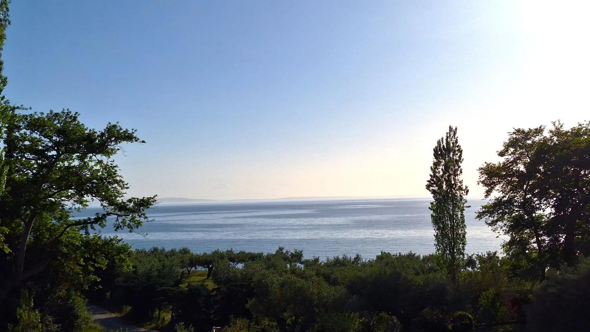 Akti Elia Villas 9Bdr Pool & Jacuzzi Halkidiki Nikiti